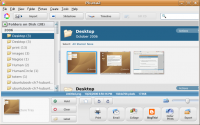 Picasa under Linux